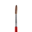 Picture of JUNIOR PAINTBRUSH ROUND